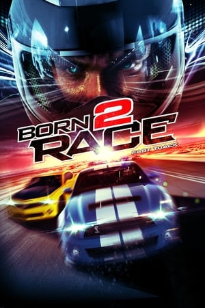 Born to Race Fast Track 2014 Hindi Dual Audio [840MB]
