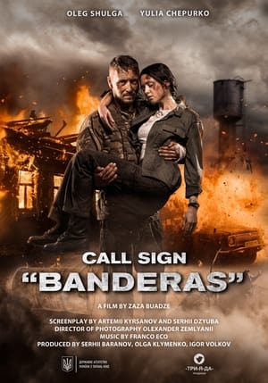 Call Sign Banderas (2018) Hindi Dual Audio –