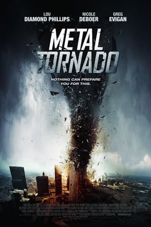 Metal Tornado 2011 Hindi Dual Audio 300MB