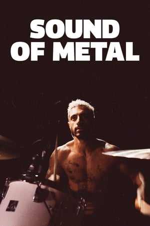 Sound of Metal (2019) Hindi Dual Audio –