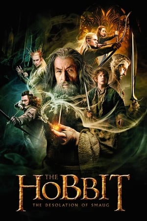 The Hobbit The Desolation of Smaug (2013) Hindi Dual Audio Movie [200MB]